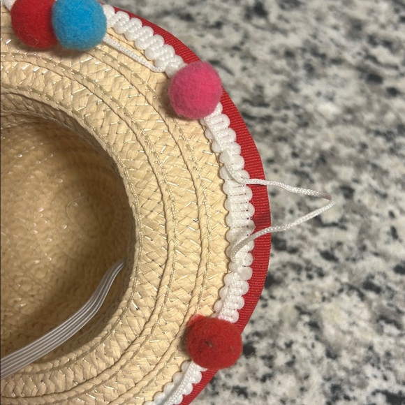 Dog Sombrero Hat - Picture 4 of 9